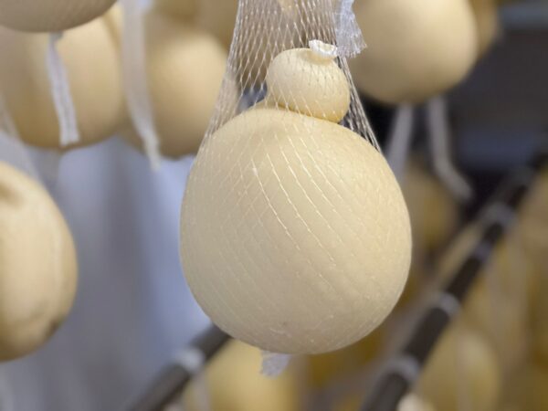 CACIOCAVALLO