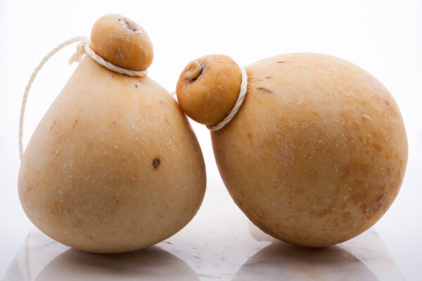 CACIOCAVALLO LUCANO